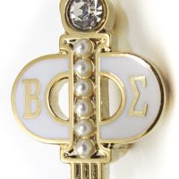 Exemplar Degree Pin
