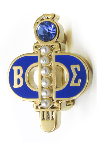 9506-Preceptor_Degree_Pin