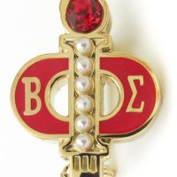Master Degree Pin