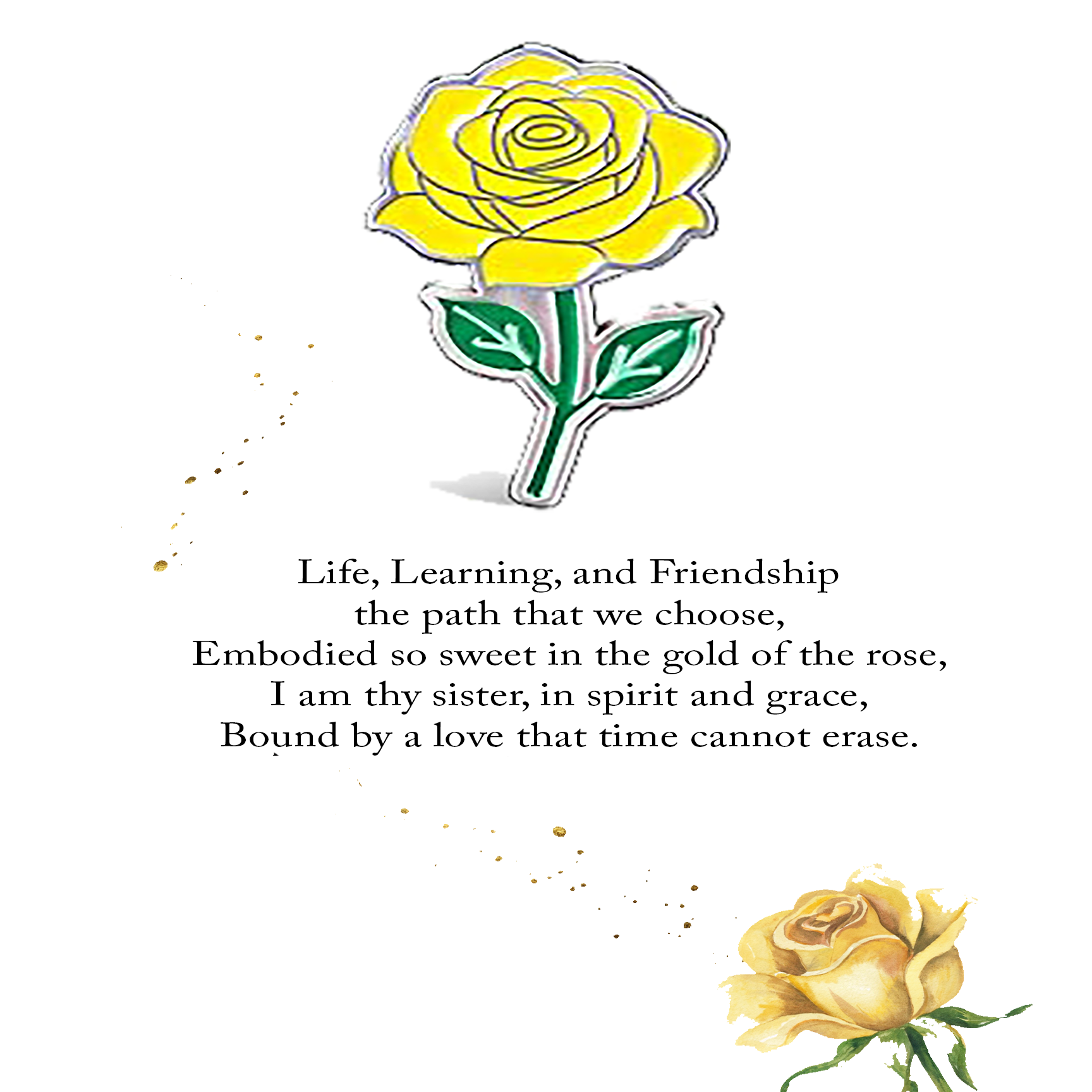 Yellow Rose Pin square
